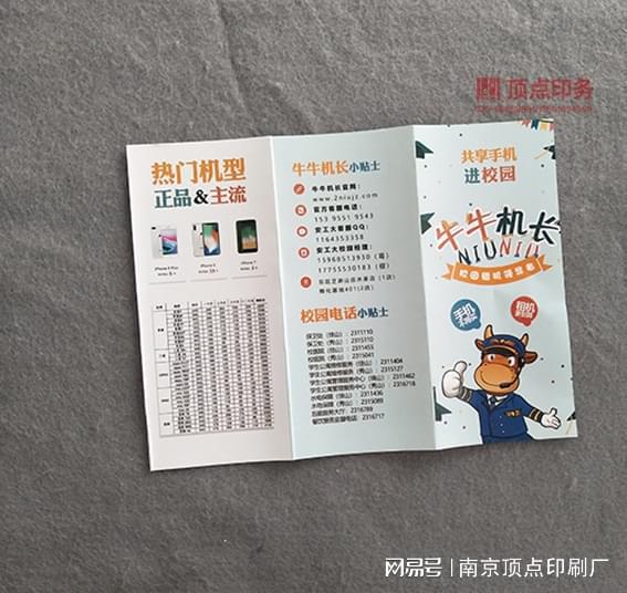 手册印刷-南京儿童绘画本印刷南京学校三折设计-教育培训(图1)