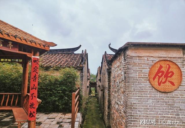 进！多领域开花县域发展迎蝶变新兴县80个重点项目加速推(图6)