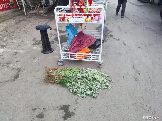 能做的5件事别忘了告诉家人不是迷信！端午三天假期最不(图2)