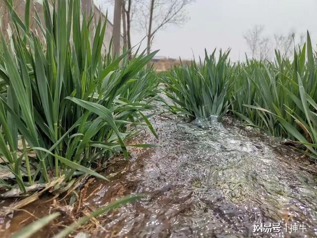 能做的5件事别忘了告诉家人不是迷信！端午三天假期最不(图3)